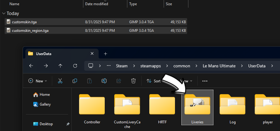 Move files to the game directory