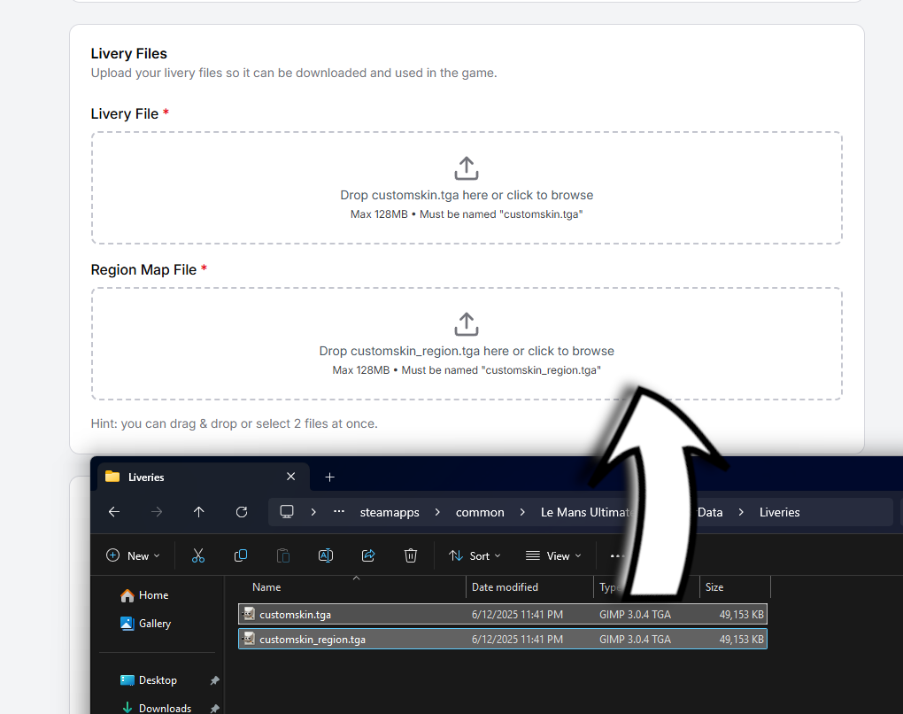 Upload livery files